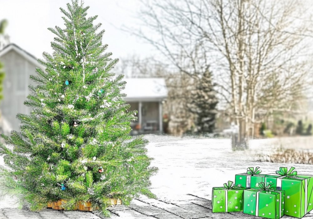 Fieldmarketing News: Merry X-Mas and a Happy New Year!